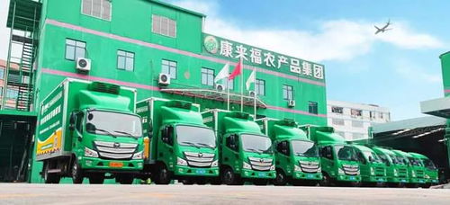 凌晨出發(fā)，康來福將新鮮的云南韭菜送上廣州食堂餐桌